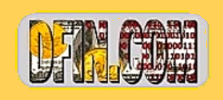 DFIN Logo